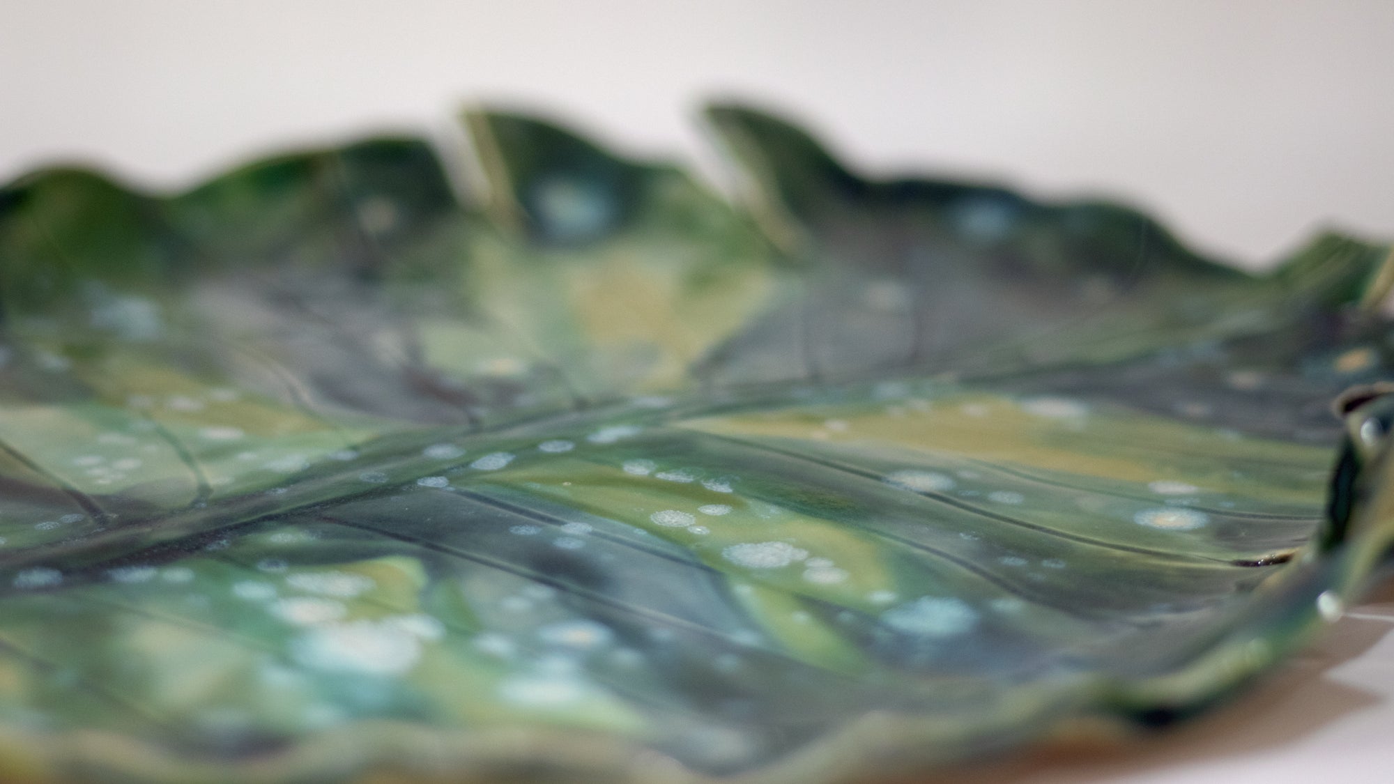 Monstera Tray