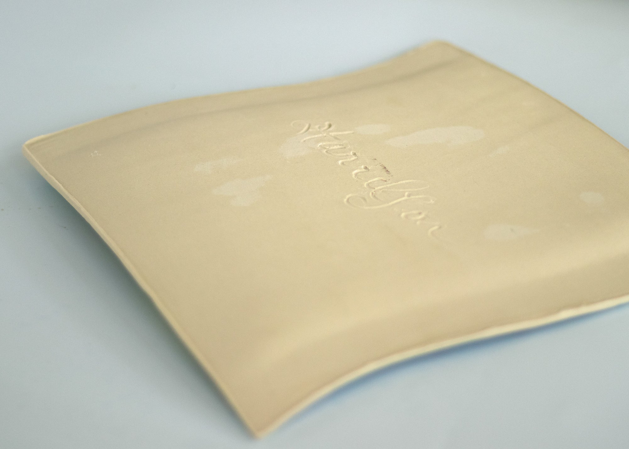 Swimming Turtle Tray/Plate